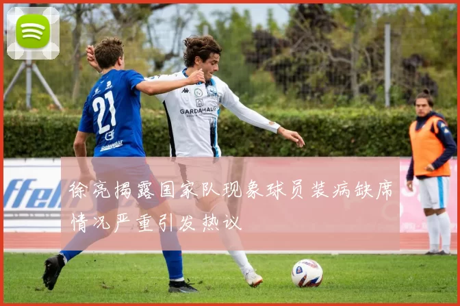 徐亮揭露国家队现象球员装病缺席情况严重引发热议